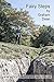 Fairy Steps by Graham Dean