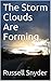 The Storm Clouds Are Forming by Russell Snyder