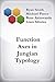 Function Axes in Jungian Ty...