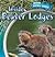 Inside Beaver Lodges (Inside Animal Homes)