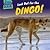 Look Out for the Dingo! (Surprisingly Scary!)