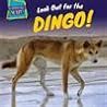 Look Out for the Dingo! (Surprisingly Scary!)