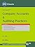 Company Accounts & Auditing...