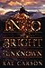 Into the Bright Unknown (Gold Seer Trilogy, 3)