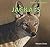 Jackals (Safari Animals)