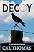 Decoy : A Kyle McBride Adventure (Kyle McBride Mystery)