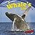A Whale's Life