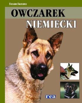 Owczarek Niemiecki