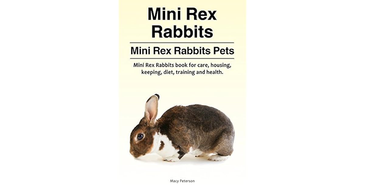 mini rex care