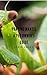 Praying Mantis - A Pet Owner's Guide by Steve Covey