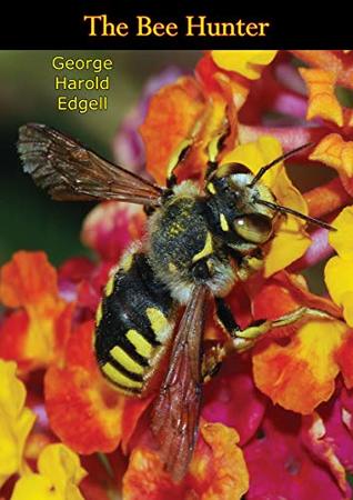 The Bee Hunter (Kindle Edition)