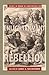 From Enlightenment to Rebellion: Essays in Honor of Christopher Fox