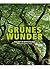 Grünes Wunder: Wälder in Deutschland