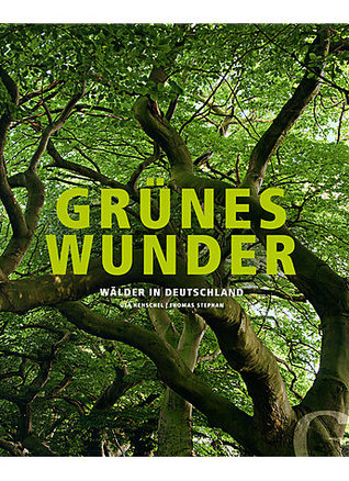 Grünes Wunder: Wälder in Deutschland