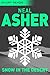 Snow in the Desert by Neal Asher