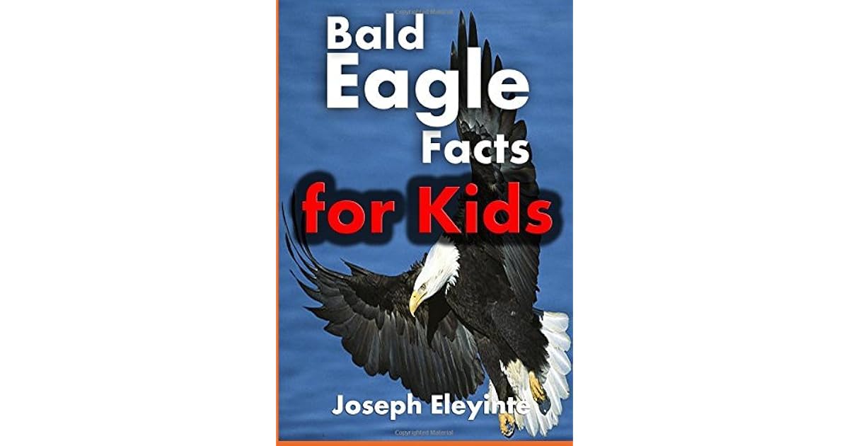Bald Eagle Facts for Kids Majestic Facts About Bald Eagles (Facts