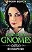 Fight of the gnomes (ArcOn,...