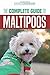 The Complete Guide to Maltipoos: Everything you need to know before getting your Maltipoo dog