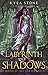 Labyrinth of Shadows