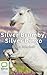 Silver Brumby, Silver Dingo (Silver Brumby, 8)