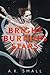 Bright Burning Stars