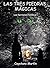 LAS TRES PIEDRAS MÁGICAS (Libre de Chat GPT) : Los hermanos Nimbus (Spanish Edition)
