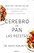 CEREBRO DE PAN. LAS RECETAS