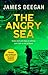 The Angry Sea (John Carr, #2)