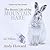The Secret Life of the Mountain Hare