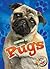 Pugs (Awesome Dogs)