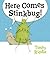 Here Comes Stinkbug!