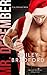 Mr. December by Bailey Bradford