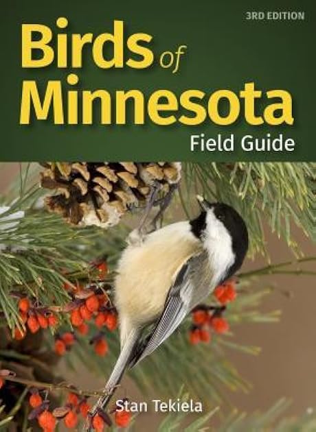 Birds of Minnesota Field Guide (Bird Identification Guides)