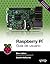 Raspberry Pi. Guía de usuario