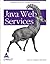 Java Web Services (English)
