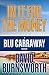 In It For The Money (Blu Carraway Mysteries #1)