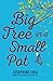 Big Tree in a Small Pot