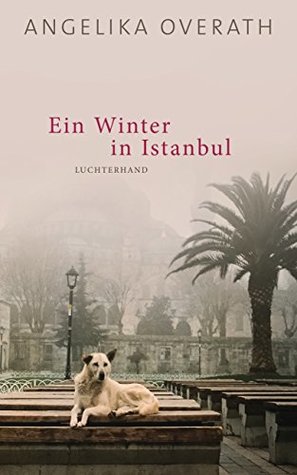 Ein Winter in Istanbul (Kindle Edition)