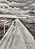 Chapter & Verse(ChorusVerse) by Tony Wright