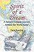 Spirit of a Dream: A Sailor's Ultimate Journey Around the World Alone