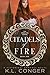 Citadels of Fire (Kremlins #1)