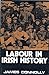 Labour in Irish History