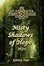 Misty Shadows of Hope: 1870 (The Bregdan Chronicles, #14)