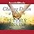 Chasing Down a Dream (Blessings, #8)