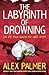 The Labyrinth of Drowning by Alex Palmer