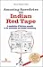 Amusing Anecdotes on Indian Red Tape by Barun Kumar Sahu