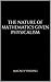 The Nature of Mathematics Given Physicalism