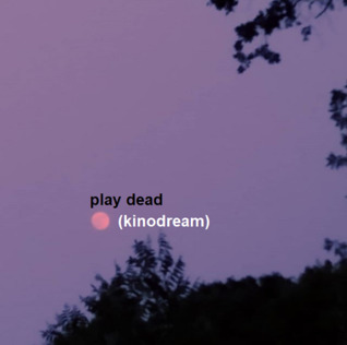 Play Dead (ebook)
