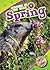 Spring (Seasons of the Year)