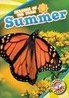 Summer (Seasons of the Year)
